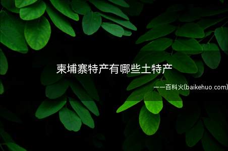 柬埔寨特产有哪些土特产