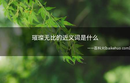 璀璨无比的近义词是什么