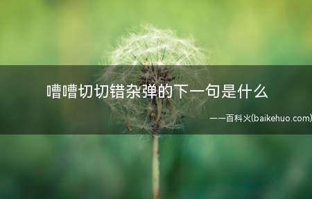 嘈嘈切切错杂弹的下一句是什么