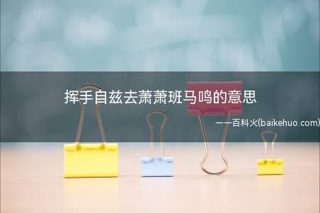 挥手自兹去萧萧班马鸣的意思