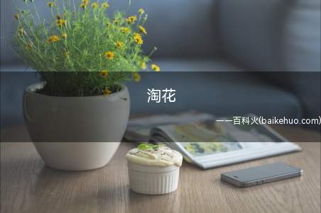 淘花是什么意思