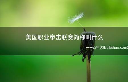 美国职业拳击联赛简称叫什么