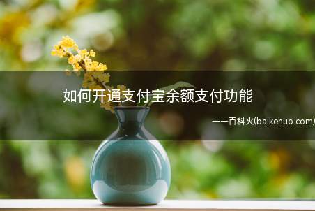 如何开通支付宝余额支付功能