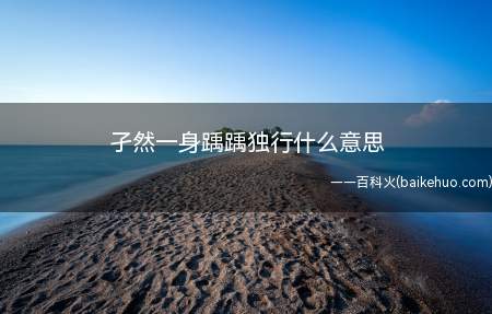 孑然一身踽踽独行什么意思
