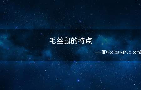 毛丝鼠的特点