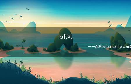 bf风是什么意思