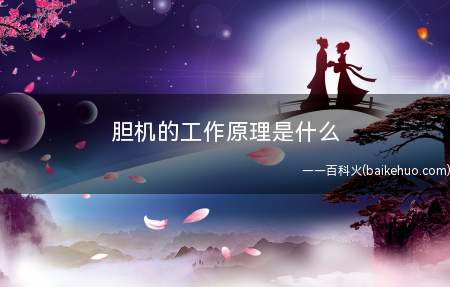 胆机的工作原理是什么