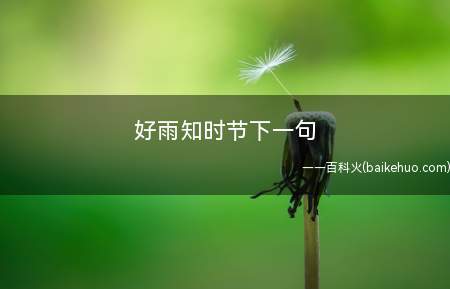 好雨知时节下一句