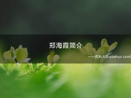 郑海霞简介 你现在知道了吗