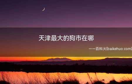 天津最大的狗市在哪