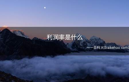 利润率是什么