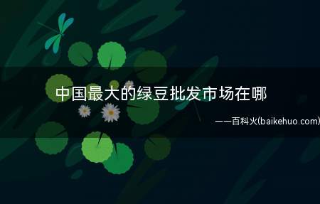 中国最大的绿豆批发市场在哪