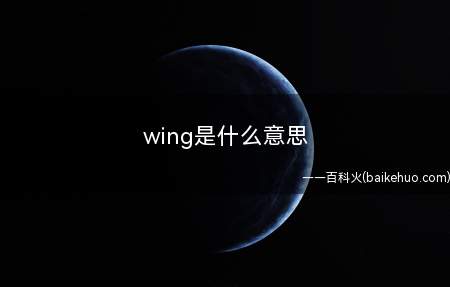 wing是什么梗