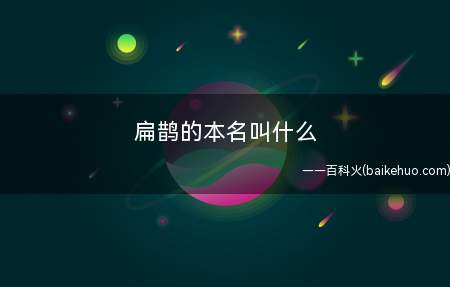 扁鹊的本名叫什么