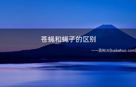 苍蝇和蝇子的区别