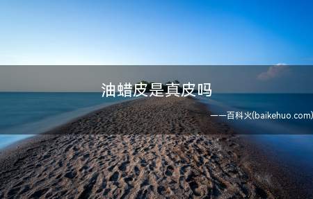 油蜡皮是真皮吗