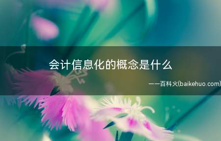 会计信息化的概念是什么