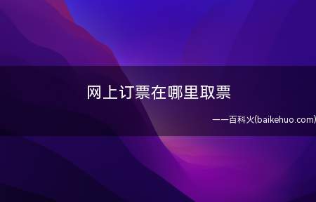 网上订票在哪里取票