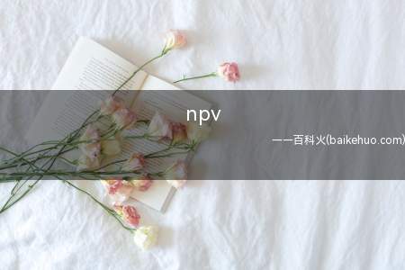npv是什么意思