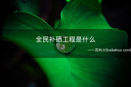 全民补硒工程是什么
