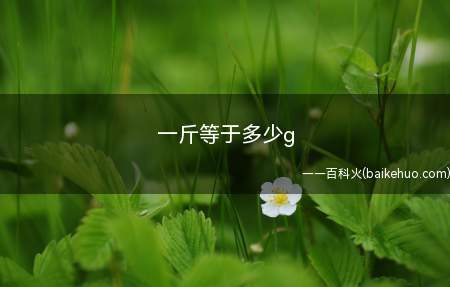 一斤等于多少g