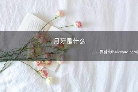 月牙是什么