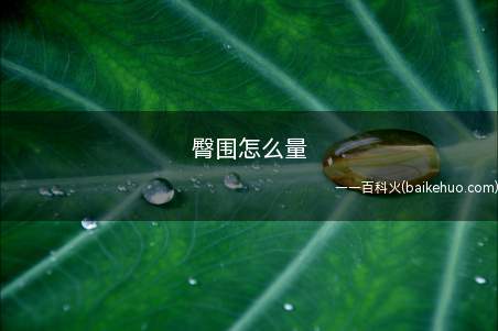 臀围怎么量