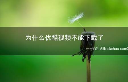 为什么优酷视频不能下载了