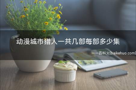 动漫城市猎人一共几部每部多少集