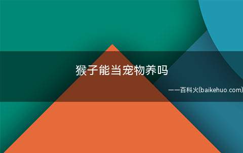 猴子能当宠物养吗