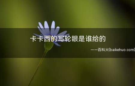 卡卡西的写轮眼是谁给的
