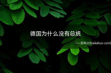 德国为什么没有总统