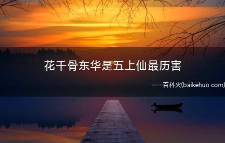 花千骨东华是五上仙最历害