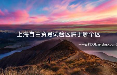 上海自由贸易试验区属于哪个区