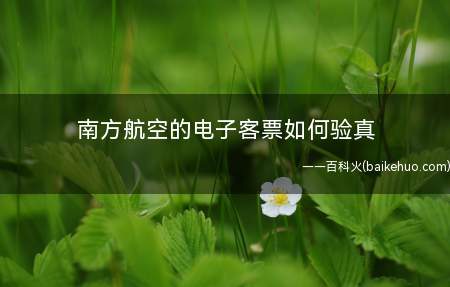 南方航空的电子客票如何验真
