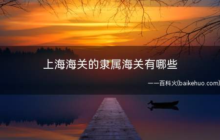 上海海关的隶属海关有哪些