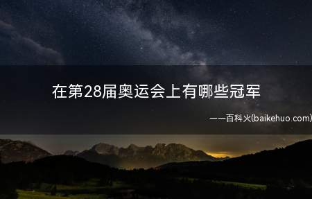 在第28届奥运会上有哪些冠军