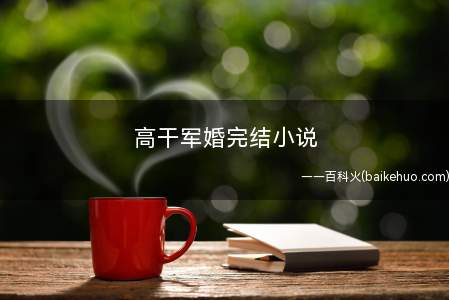 高干军婚完结小说