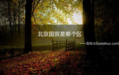 北京国贸是哪个区