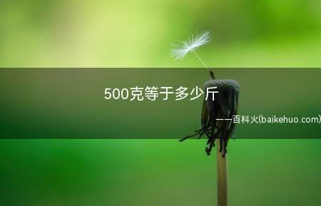 500克等于多少斤
