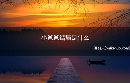 小爸爸结局是什么