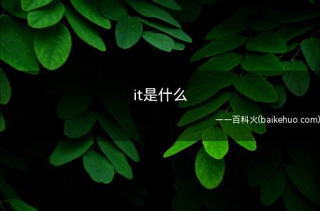 it是什么