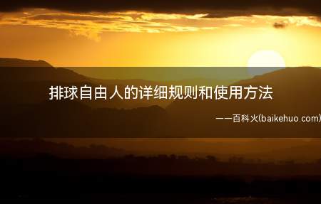 排球自由人的详细规则和使用方法
