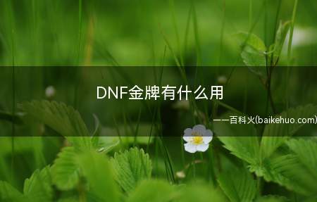 DNF金牌有什么用