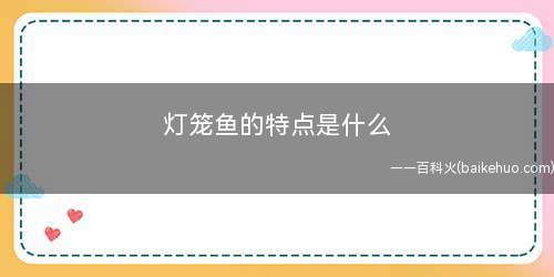 灯笼鱼的特点是什么