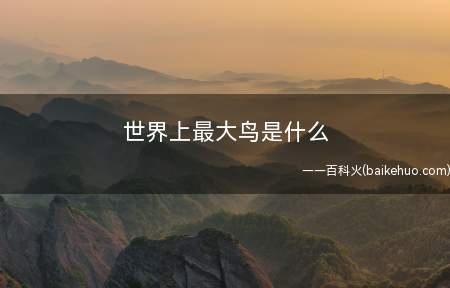 世界上最大鸟是什么