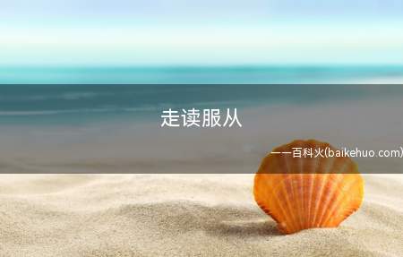 走读服从是什么意思