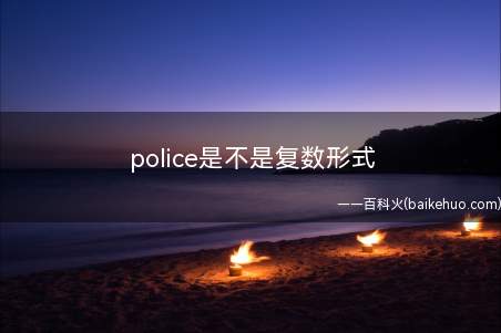 police是不是复数形式