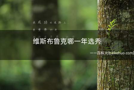 维斯布鲁克哪一年选秀