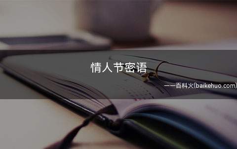 情人节密语